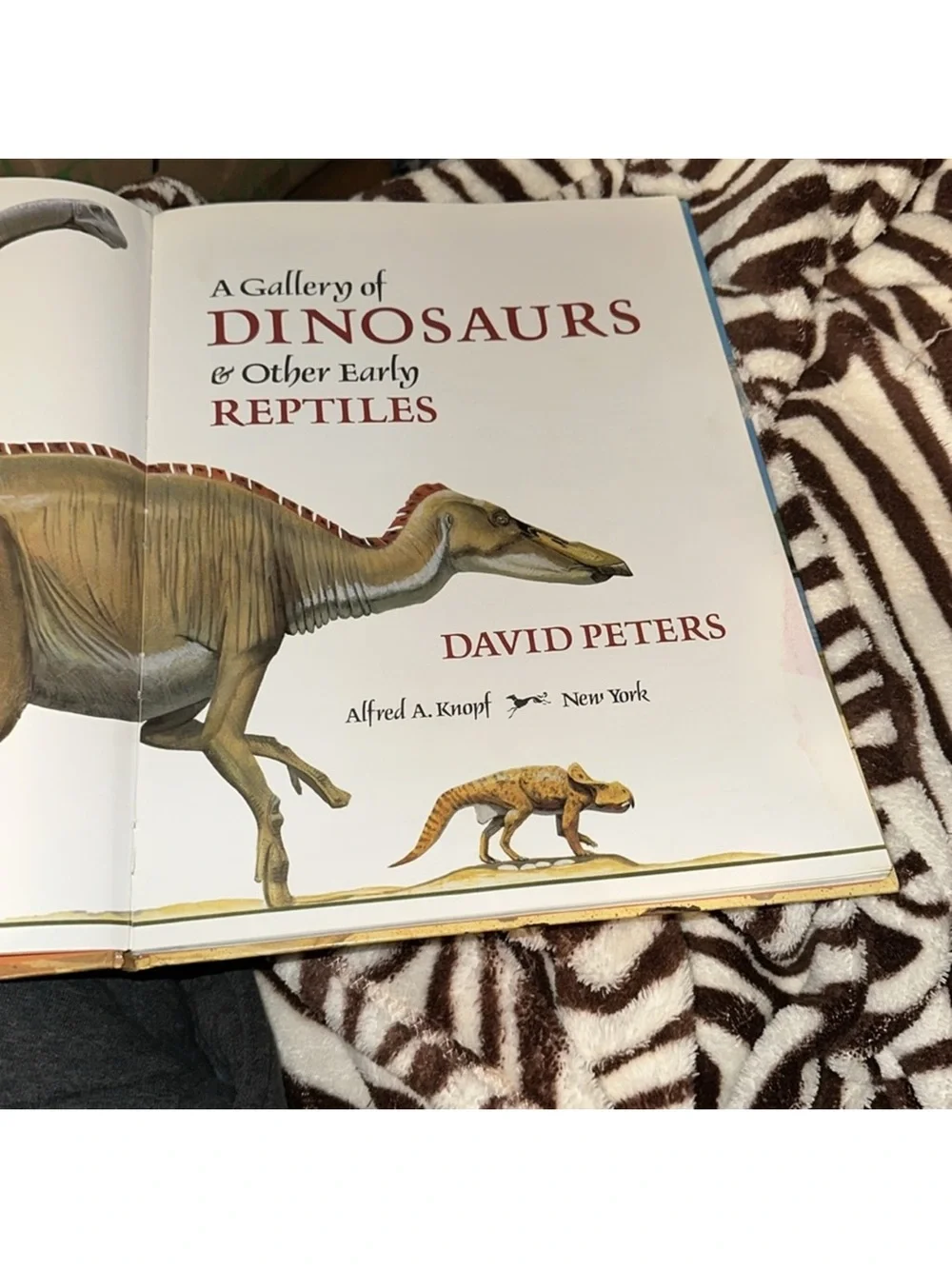 A Gallery of Dinosaurs & Other Early Reptiles 1989 David peters